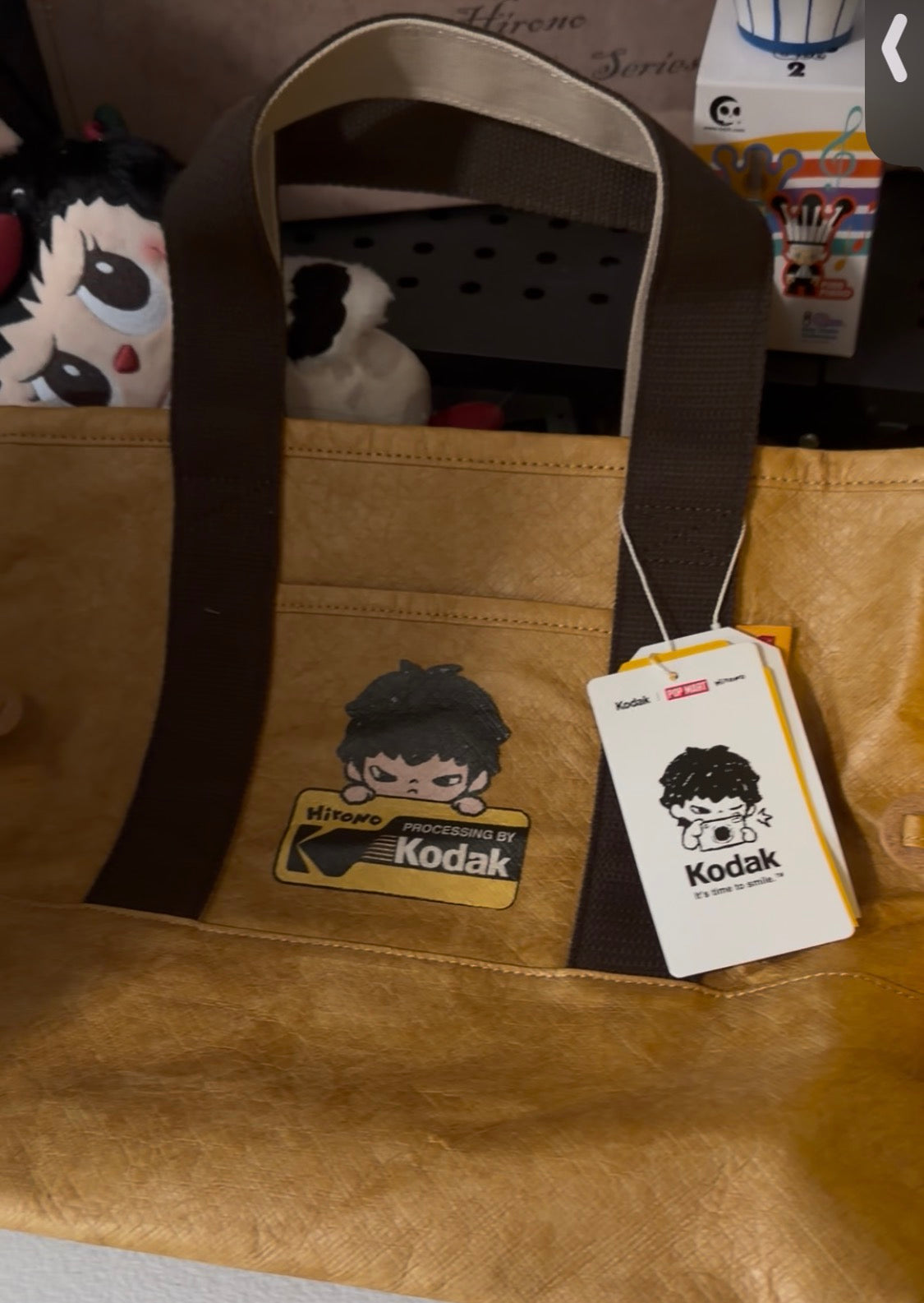 Hirono Kodak handbag