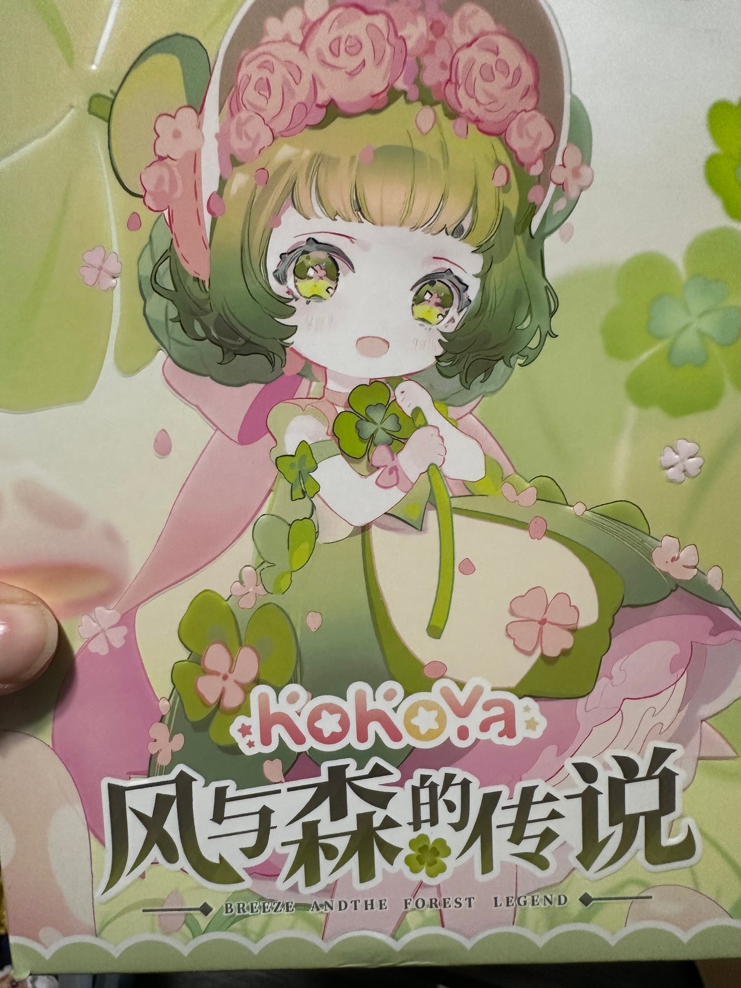 Hohoya BJD doll