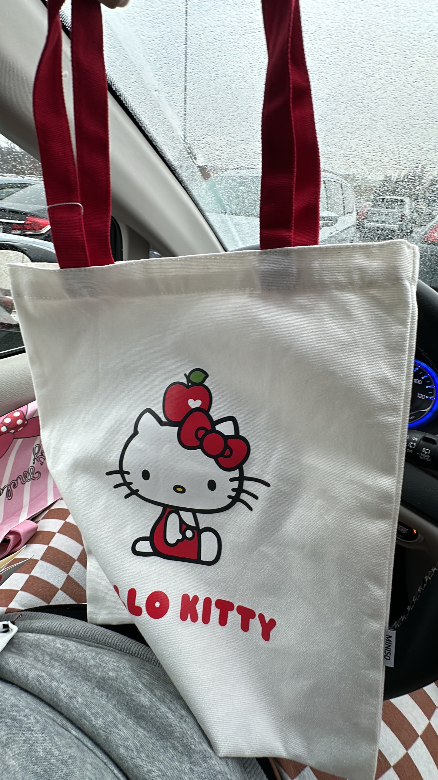 Sanrio canvas bag