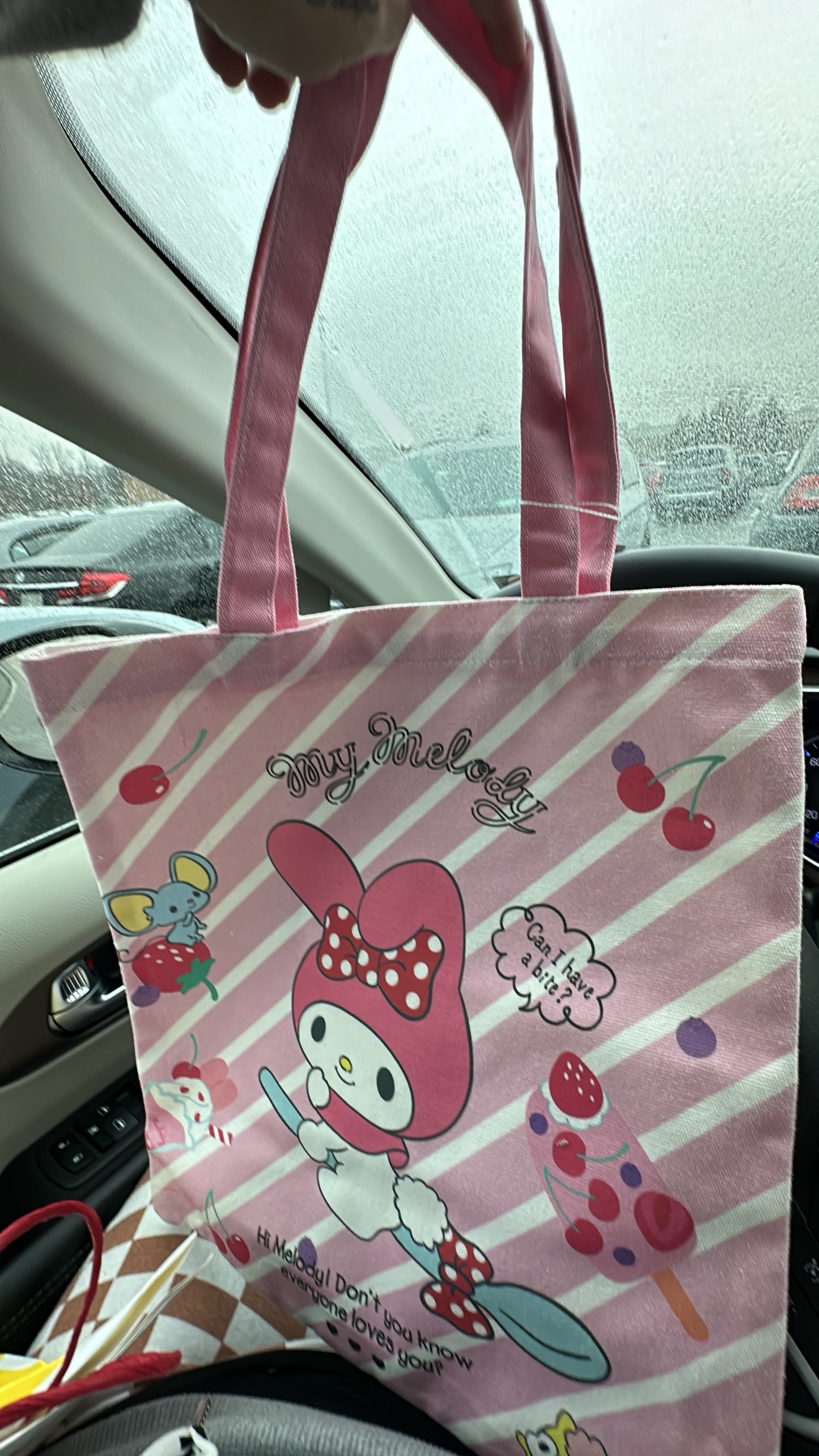 Sanrio canvas bag