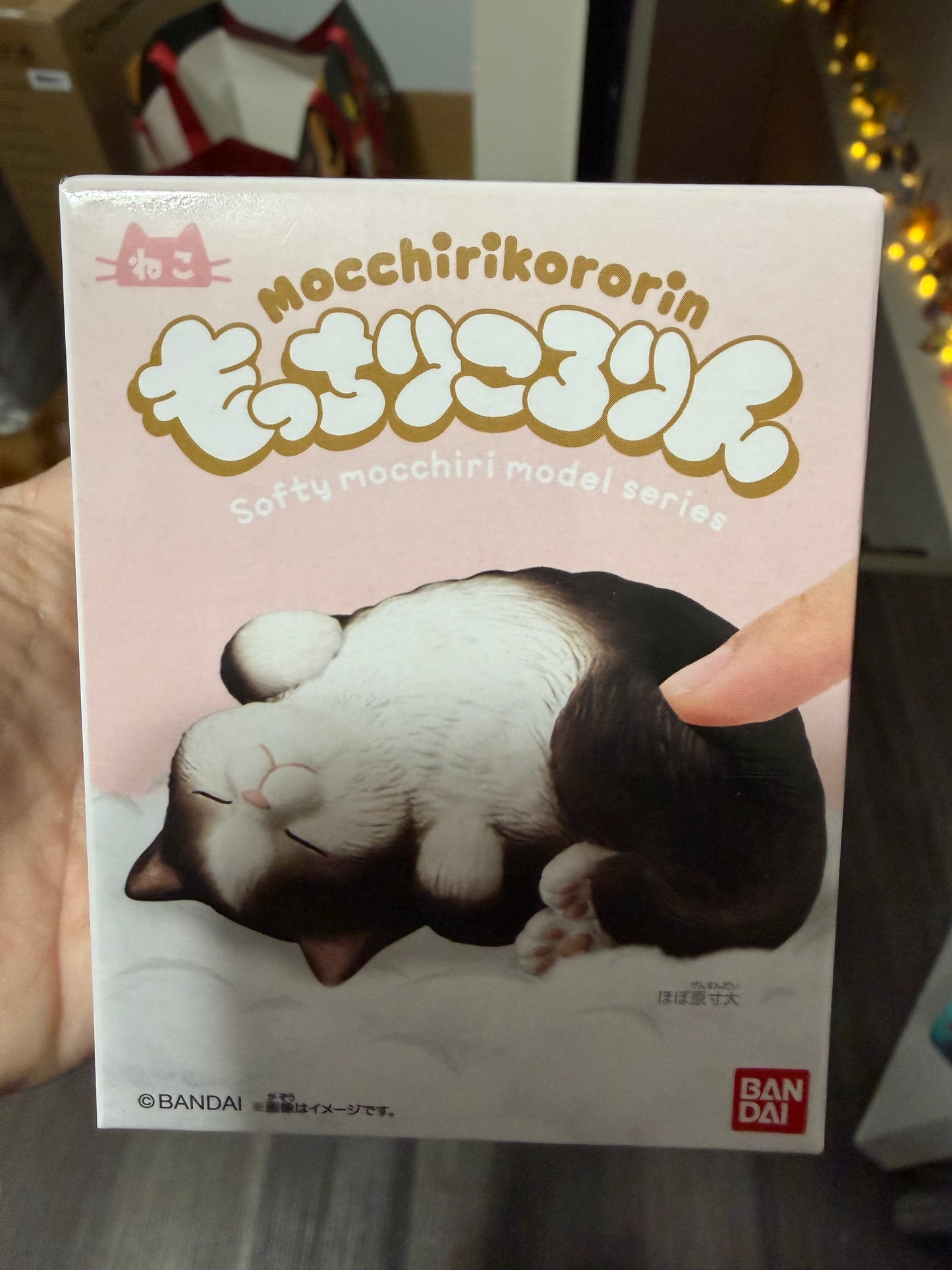 Mocchiri Kororin♪