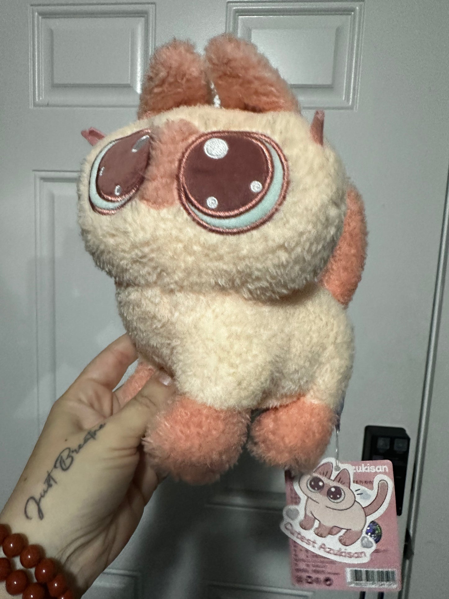 Cat plushie
