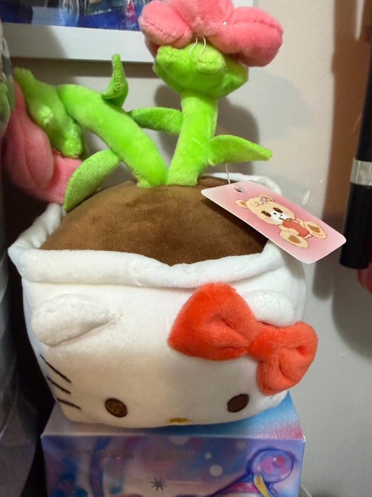 HK Plush plant