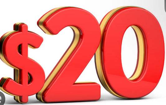 $20