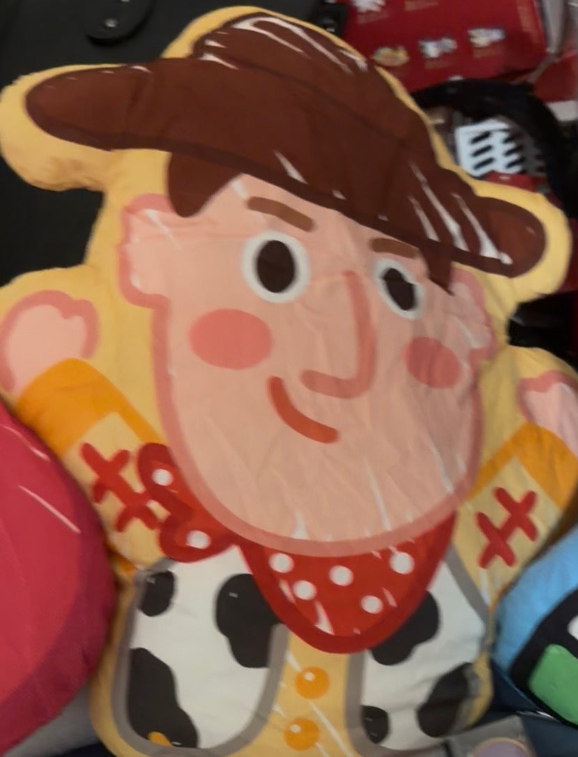TS pillows
