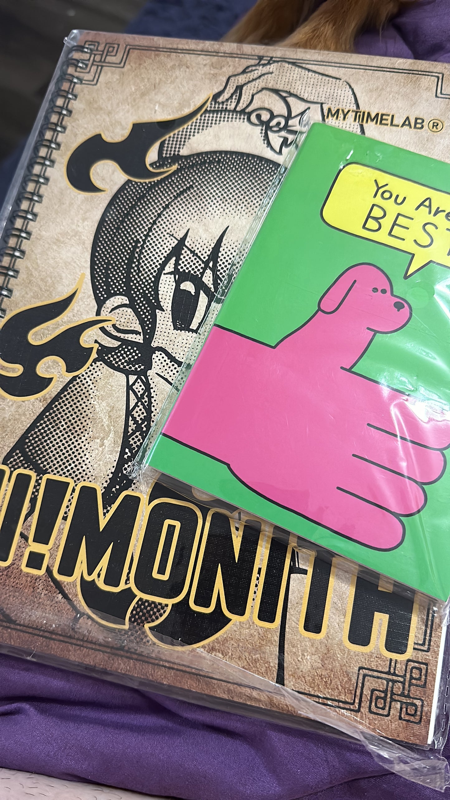 My time lab notebooks