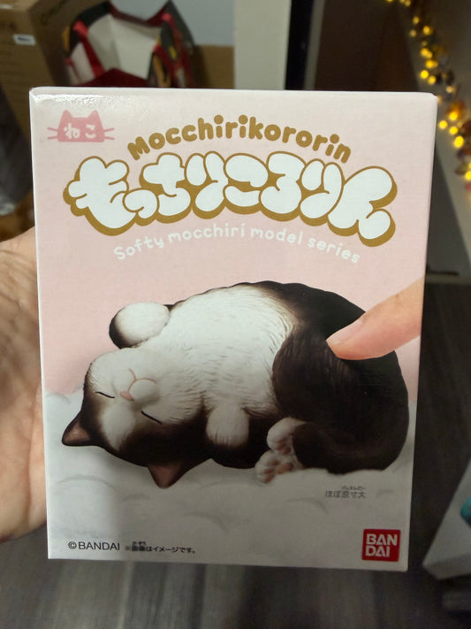 Mocchiri Kororin♪