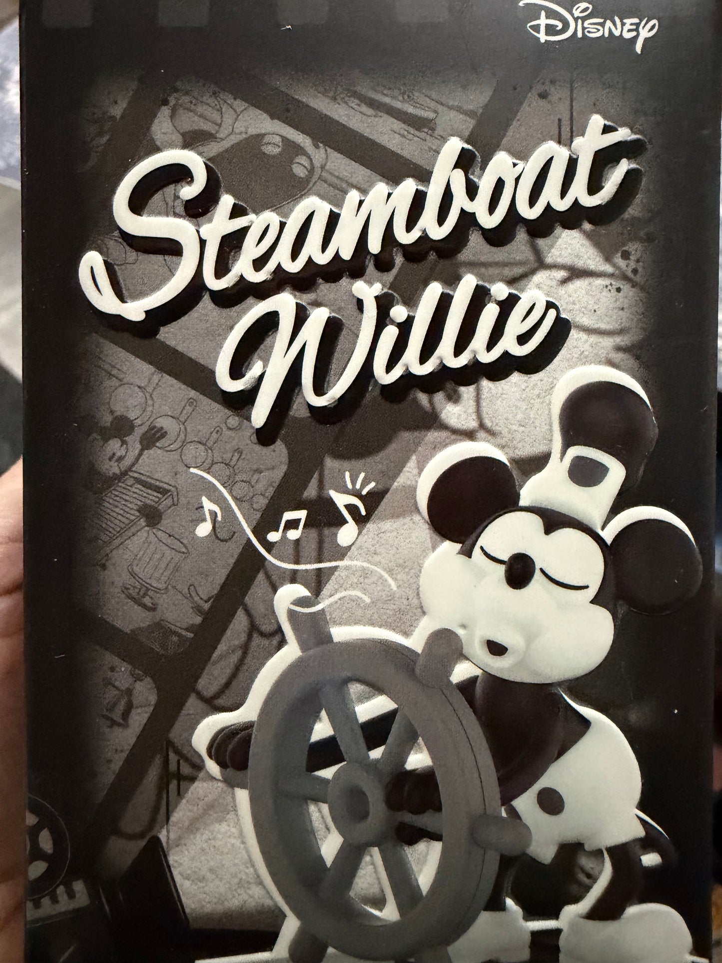 Disney steamboat series