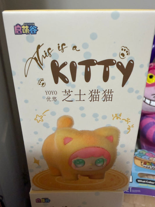 This is a kitty